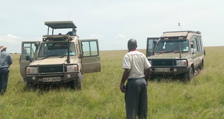 Tourgids en toeristen bij safari-voertuigen in het grasland.