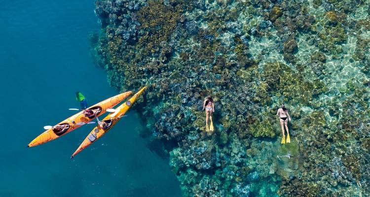 Aerial view of kayakers and snorkelers by a coral reef.