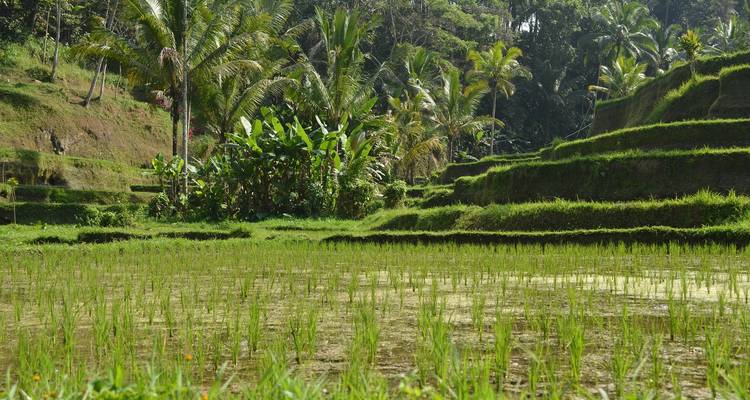 Bali: playa y cultura combinadas en una sola isla - Indochina Travels 3