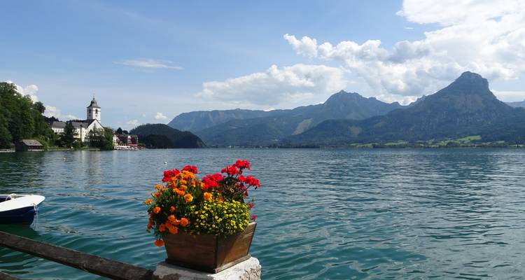 Kleurrijke bloemen in een pot bij een meer met een bergachtergrond.