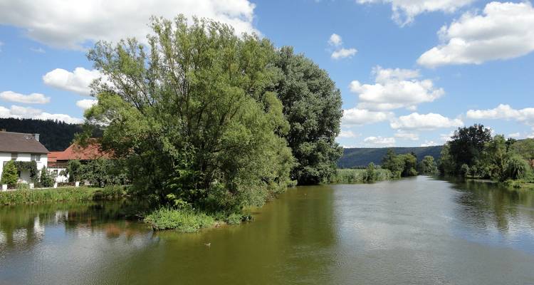 Río amplio y tranquilo flanqueado por árboles exuberantes bajo un cielo azul con nubes esponjosas.