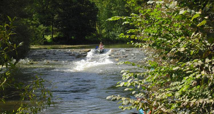 Persona en una canoa navegando un pequeño rápido en un río rodeado de árboles.