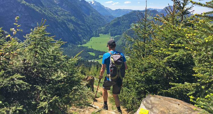 Hiker with backpack and trekking poles looking over a lush alpine valley framed by pine trees.