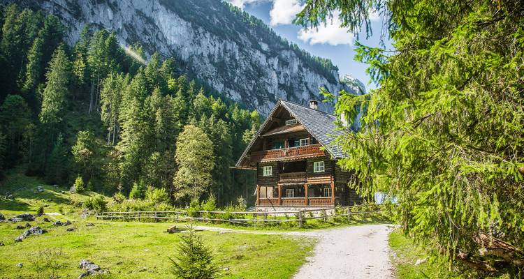 Traditioneel houten alpenhuis in een groene vallei.
