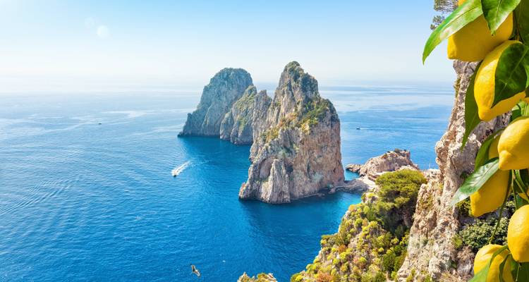 Vista panorámica de las formaciones rocosas de los Faraglioni en Capri con el mar y el cielo azules, y limones en primer plano.