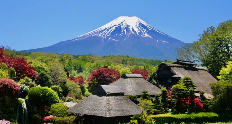 Der schneebedeckte Mount Fuji ragt über ein üppiges Gartendorf mit Strohdächern und Frühlingsblüten empor