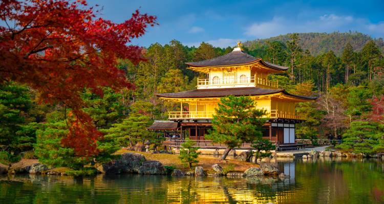 Goldener Tempelpavillon spiegelt sich in einem ruhigen Teich wider, eingerahmt von roten Herbstblättern