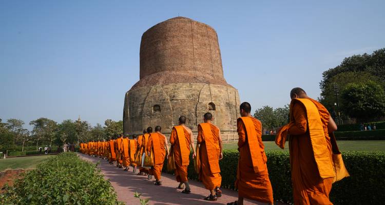 Reihe orangegewandeter Mönche, die in einem grasbewachsenen Park unter klarem Himmel zum Dhamek-Stupa gehen