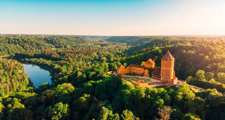 Luftaufnahme einer mittelalterlichen Burg, umgeben von üppigem grünem Wald.