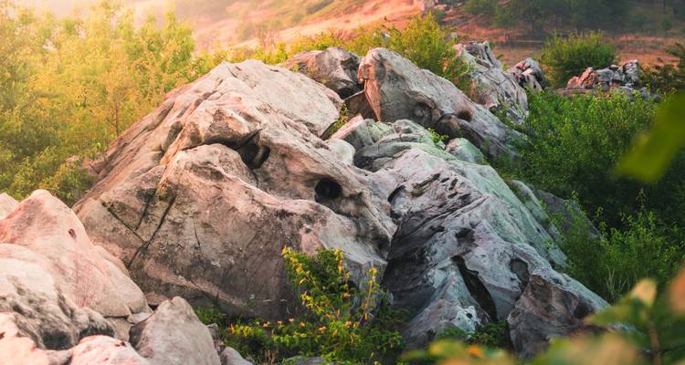 Montañas del Harz: Senderismo - SKR Reisen 2