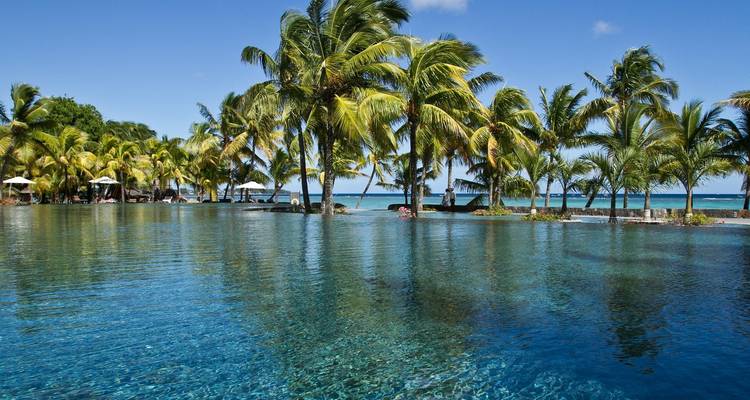 Piscine luxueuse bordée de palmiers près de l'océan.