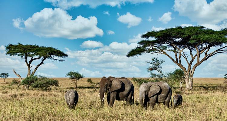 3 Días Explora el Parque Nacional de Etosha | Alojamiento Guiado Privado - Motema Tours and Safaris 7