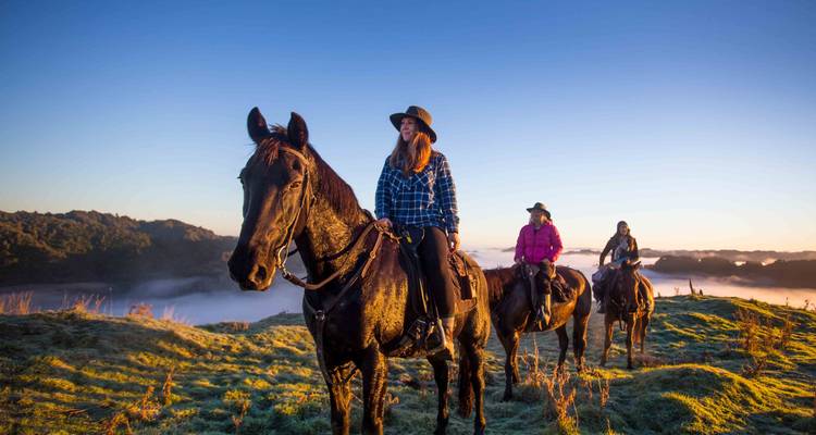 11 Day 'Kereru' National Select Tour - Stray Travel 2