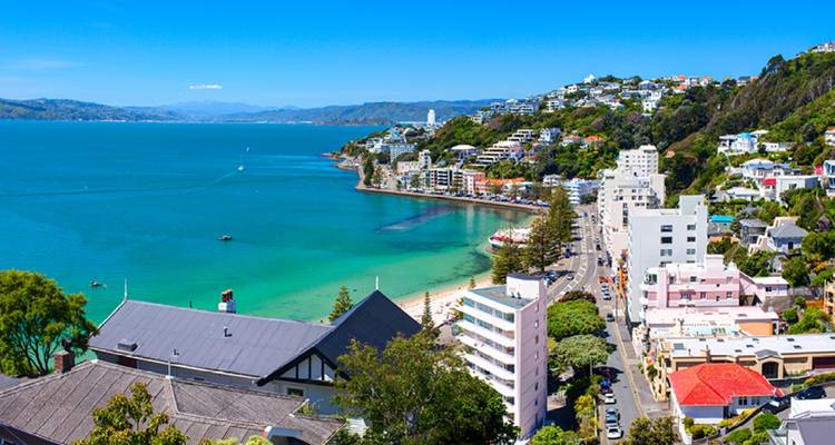 11 Day 'Kereru' National Select Tour - Stray Travel 6