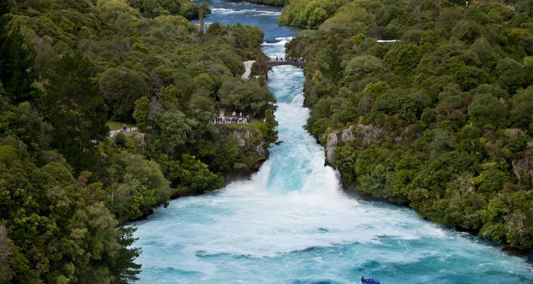 8 Day 'Pukeko' North Island Select Tour - Stray Travel 4
