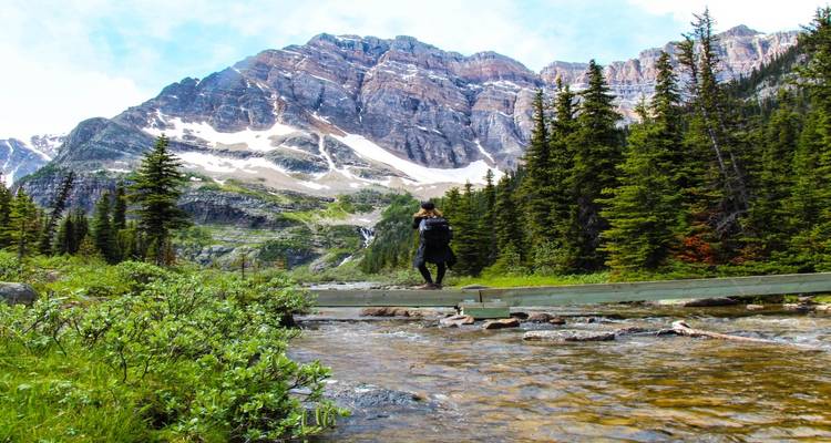 Circuit de 6 jours dans les Rocheuses : Aventure dans les parcs nationaux de Banff, Yoho et Kootenay - Calgary Tours 8