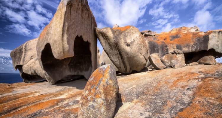 【Adelaide】6 Days Explore Kangaroo Island Sights and Adelaide Package - Delightful Travel 1