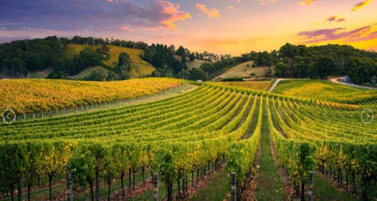 【Adelaide】6 Days Explore Kangaroo Island Sights and Adelaide Package - Delightful Travel 2