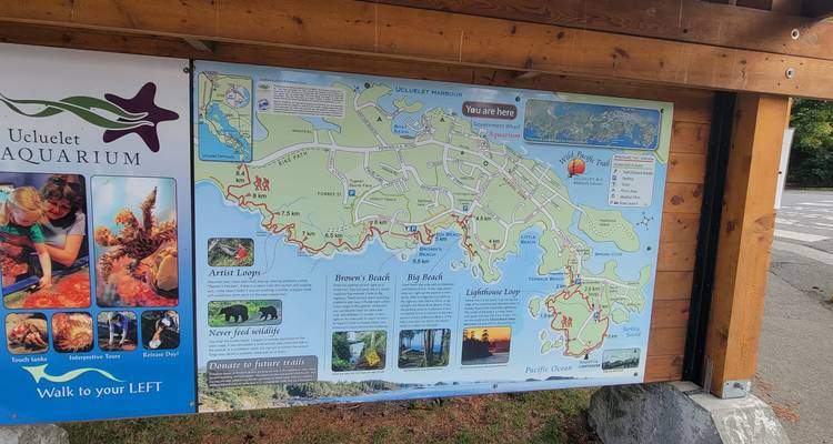 Vancouver, Victoria, Nanaimo circuito explorador de 2 días - Globalduniya 7
