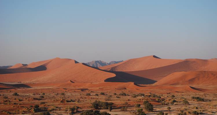 Dunes oranges d'un paysage désertique avec un ciel bleu.