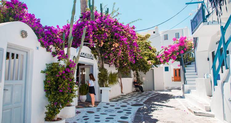 Escapada a Mykonos, 3 días - Destination Services Greece 4