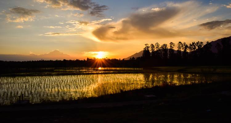 Jannat-E-Kashmir (A Budget Friendly Tour) - MTA Destination Management Company 3