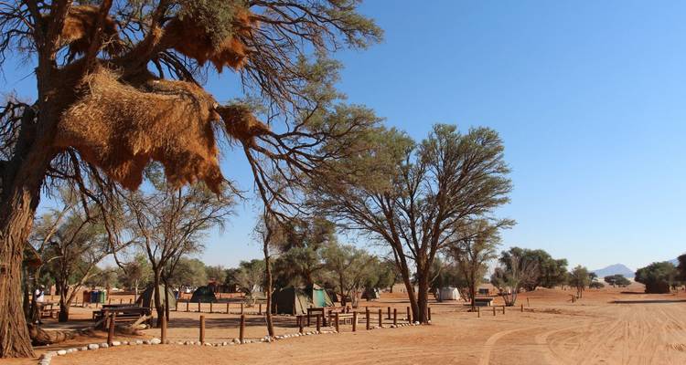 3 Días Sossusvlei Increíbles Dunas Rojas | Acampada Privado Guiado - Motema Tours and Safaris 6