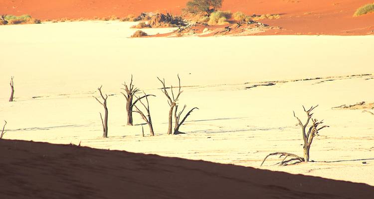 3 Días Sossusvlei Increíbles Dunas Rojas | Acampada Privado Guiado - Motema Tours and Safaris 7