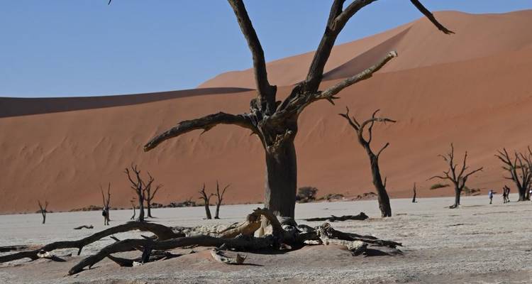 3 Días Sossusvlei Increíbles Dunas Rojas | Acampada Privado Guiado - Motema Tours and Safaris 8