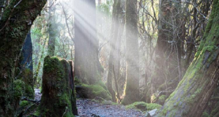 Tasmanie Hobart et Launceston Forfait touristique tout compris de 10 jours - Delightful Travel 7