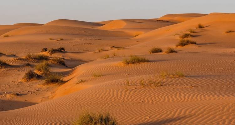 Les joyaux d'Oman : Un circuit privé de 8 jours - MTA Destination Management Company 10