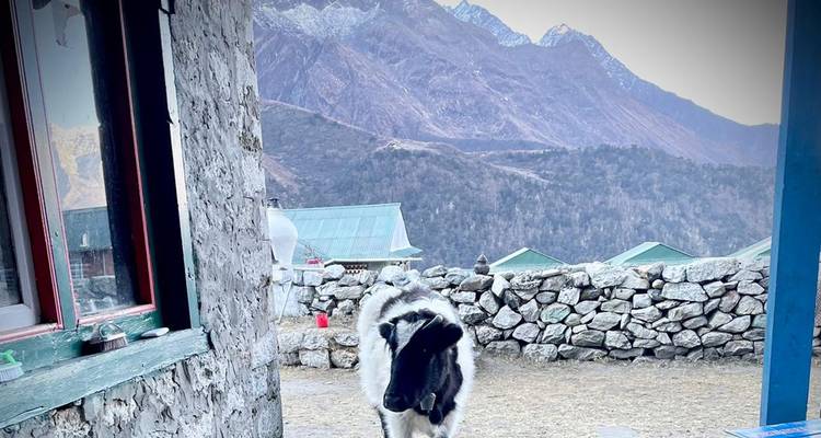 Excursión al campamento base del Everest - 7 días - Alpine Ramble Treks  4