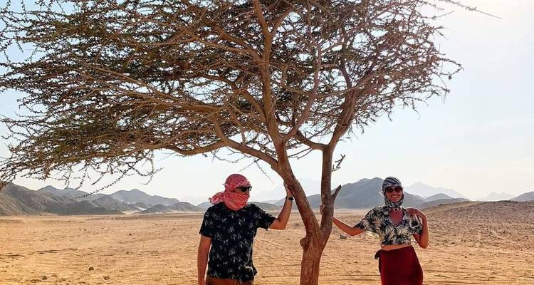 Ganztägige privat geführte Rundreise zur Weißen Wüste und Bahariya Oase - Sun Pyramid Tours 3