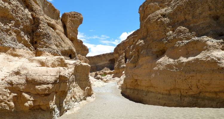 Explorez Etosha, Swakopmund et Sossusvlei - 6 jours - Lodge privé avec guide - Motema Tours and Safaris 2