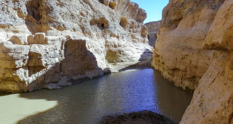 Explorez Etosha, Swakopmund et Sossusvlei - 6 jours - Lodge privé avec guide - Motema Tours and Safaris 3
