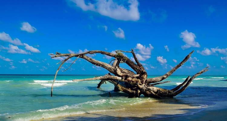 Isla de Andamán - Una divina escapada romántica - Un circuito económico - MTA Destination Management Company 6