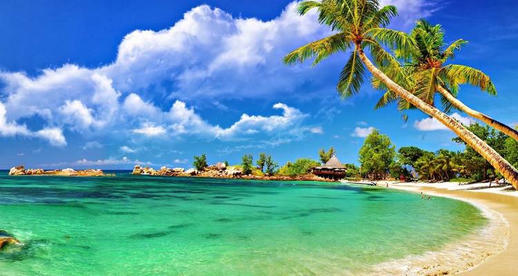 Isla de Andamán - Una divina escapada romántica - Un circuito económico - MTA Destination Management Company 9