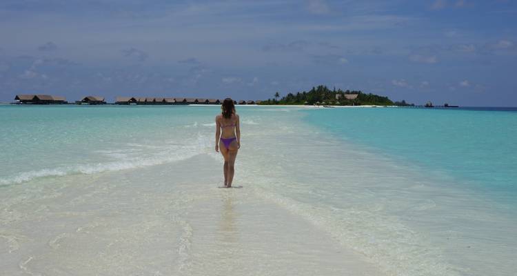 HOT SALE !!! Forfait de voyage aux Maldives - Île de Rasdhoo ! - BeachLife Tours 7