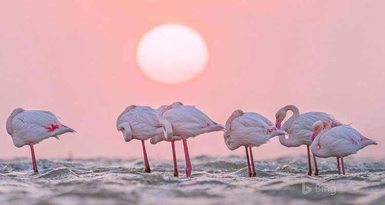 Aventure de 5 jours à Sossusvlei et Swakopmund | Lodge privé guidé - Motema Tours and Safaris 3
