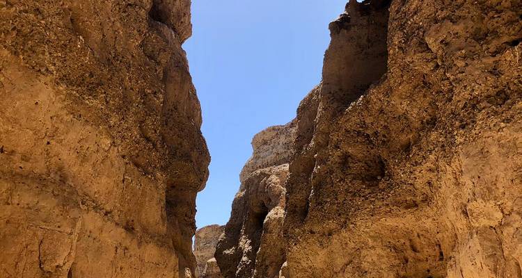 Aventure de 5 jours à Sossusvlei et Swakopmund | Lodge privé guidé - Motema Tours and Safaris 10