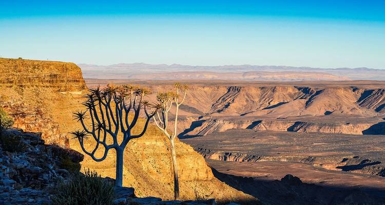 7 Days SOUTH of Namibia | Private Guided Lodge - Motema Tours and Safaris 4