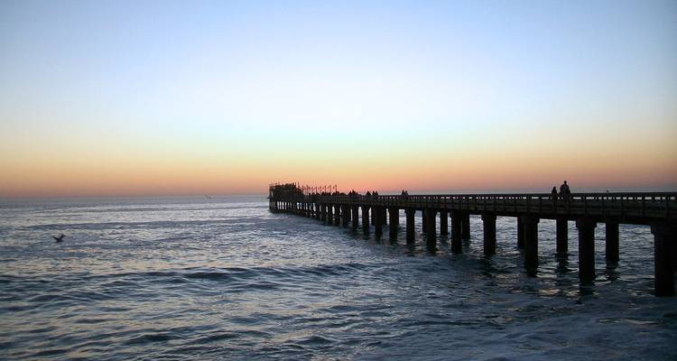 7 Days SOUTH of Namibia | Private Guided Lodge - Motema Tours and Safaris 6
