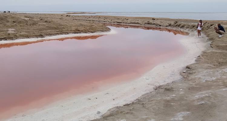 7 Days SOUTH of Namibia | Private Guided Lodge - Motema Tours and Safaris 8