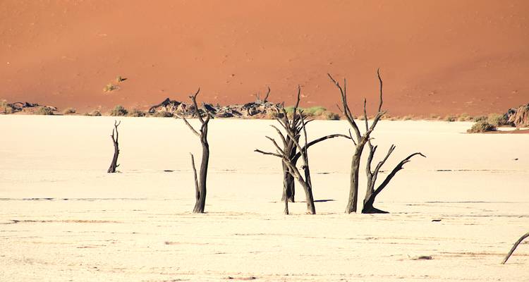 7 Days SOUTH of Namibia | Private Guided Lodge - Motema Tours and Safaris 10