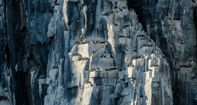 Contournement du Svalbard - Albatros Expeditions 10