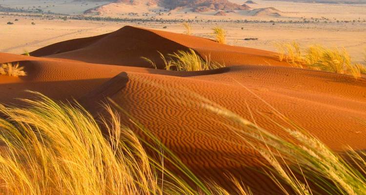 Namibie en Plus - 12 jours | Lodge privé avec guide - Motema Tours and Safaris 7
