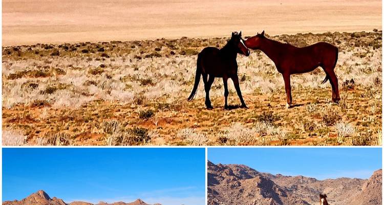 Namibie en Plus - 12 jours | Lodge privé avec guide - Motema Tours and Safaris 8