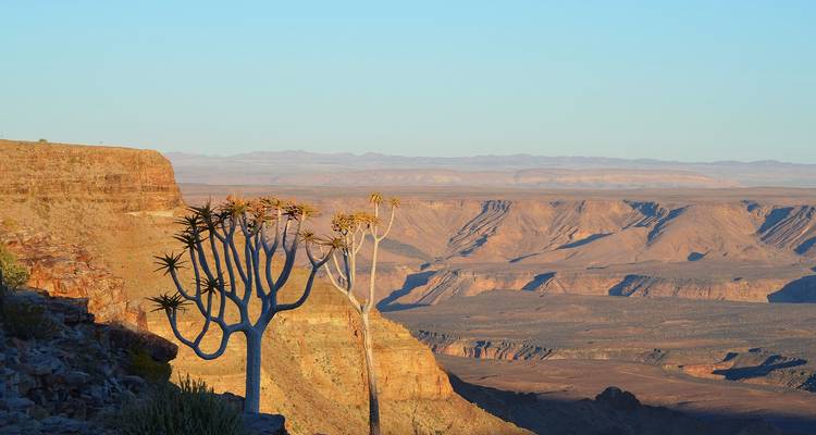 Namibie en Plus - 12 jours | Lodge privé avec guide - Motema Tours and Safaris 10