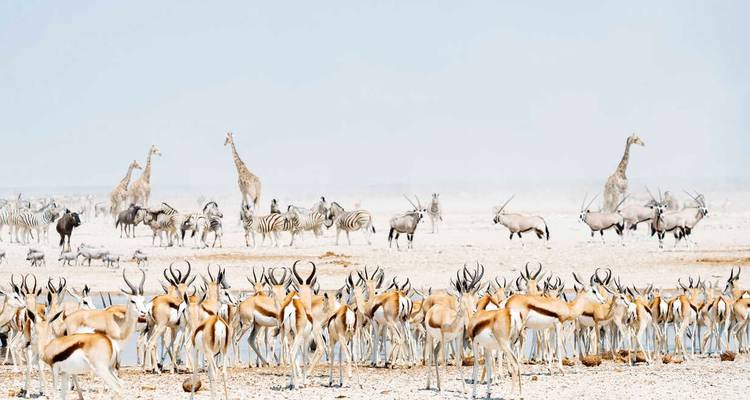 15 Días Todo Sobre Namibia | Alojamiento Guiado Privado - Motema Tours and Safaris 1