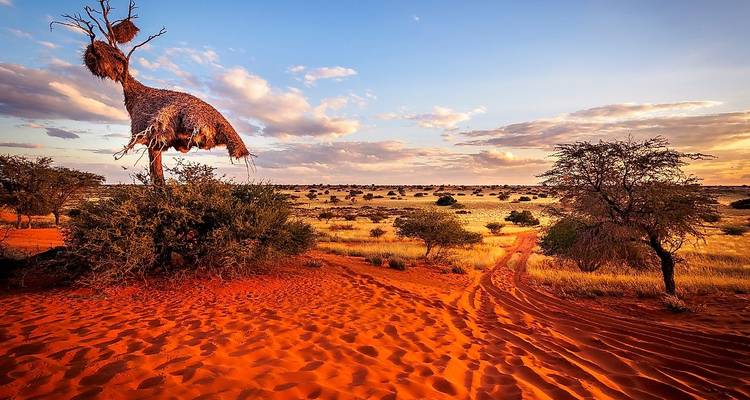 15 Días Todo Sobre Namibia | Alojamiento Guiado Privado - Motema Tours and Safaris 9